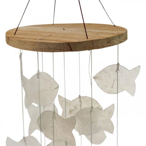 Artículo Decoración colgante conchas Capiz carillón de viento jardín Ø12cm L49cm