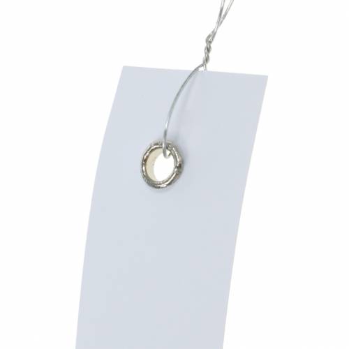 Floristik24 Etiquetas colgantes blancas 20mm x 80mm 250uds