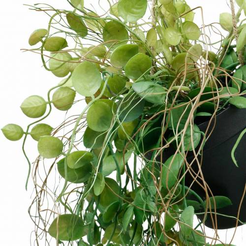 Artículo Planta colgante en maceta Planta verde artificial Cesta colgante