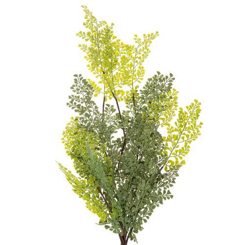 Rama de helecho artificial, delicada, para jarrón, 80 cm. | Floristik24.es