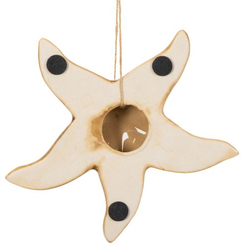Artículo Adorno de estrella de mar de cerámica para colgar, para un toque marinero, decoración de verano para el hogar, 12 cm, 2 piezas