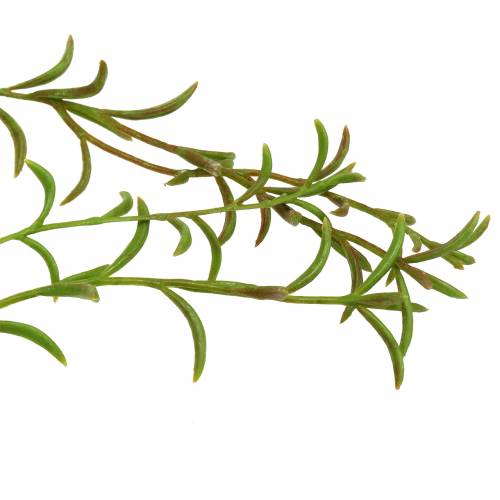 Floristik24 Coral cactus artificial Rhipsalis colgador 90cm