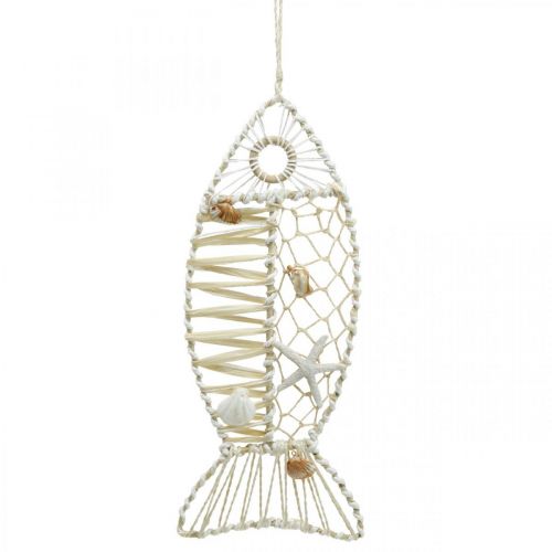 Floristik24 Pez decorativo con decoración de concha, decoración marítima, pez para colgar blanco 38cm