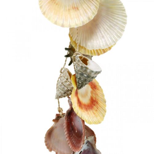 Floristik24 Cuenco de coco con cáscaras, cuenco de plantas naturales, coco como cesta colgante Ø13,5/11,5cm, juego de 2