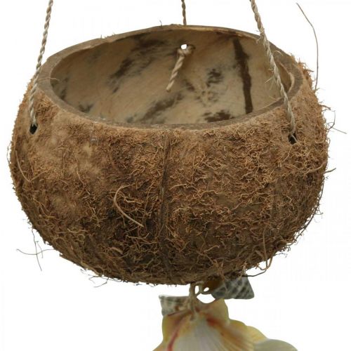 Floristik24 Cuenco de coco con cáscaras, cuenco de plantas naturales, coco como cesta colgante Ø13,5/11,5cm, juego de 2
