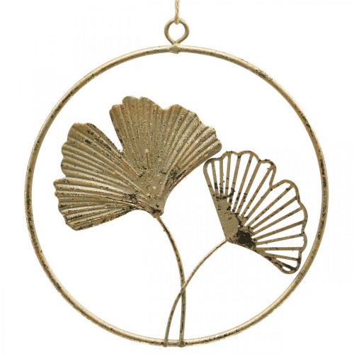 Artículo Decoración de ginkgo percha dorada decoración de metal vintage Ø16cm 3 piezas