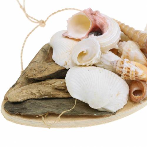 Floristik24 Adorno marinero para colgar peces con conchas madera 18cm