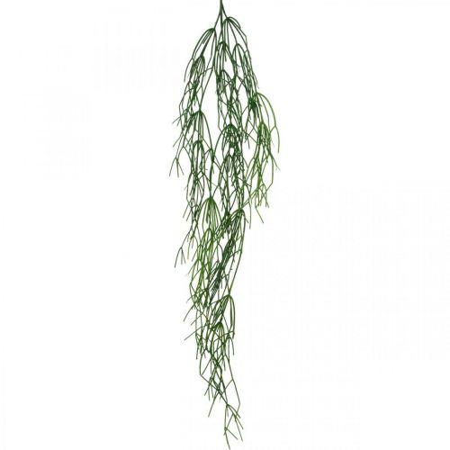 Floristik24 Zarcillos decorativos, cactus de coral, percha artificial Rhipsalis Verde L120cm