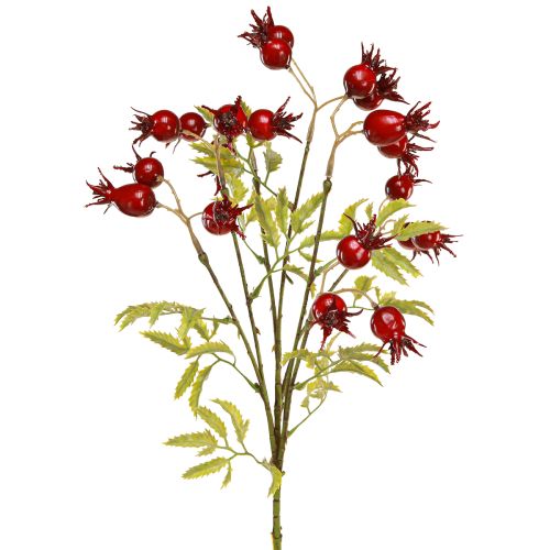 Ramas decorativas artificiales de escaramujos con 7 frutos rojo oscuro 48cm
