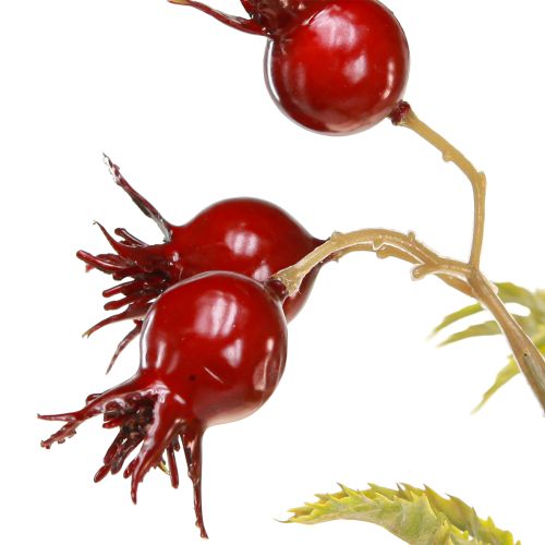 Floristik24 Ramas decorativas artificiales de escaramujos con 7 frutos rojo oscuro 48cm
