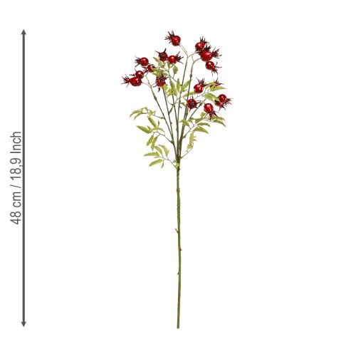Floristik24 Ramas decorativas artificiales de escaramujos con 7 frutos rojo oscuro 48cm