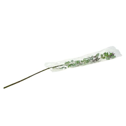 Floristik24 Rama de escaramujo L92cm con nieve