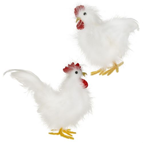 Floristik24 Gallo gallina con plumas blanco 17cm, 21cm 2uds