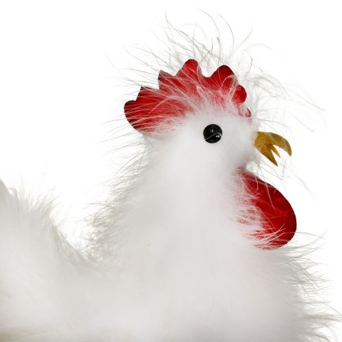 Artículo Gallo gallina con plumas blanco 17cm, 21cm 2uds