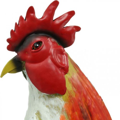 Floristik24 Gallo decorativo metal colorido jardín decoración figura metal decoración 58×13×50cm