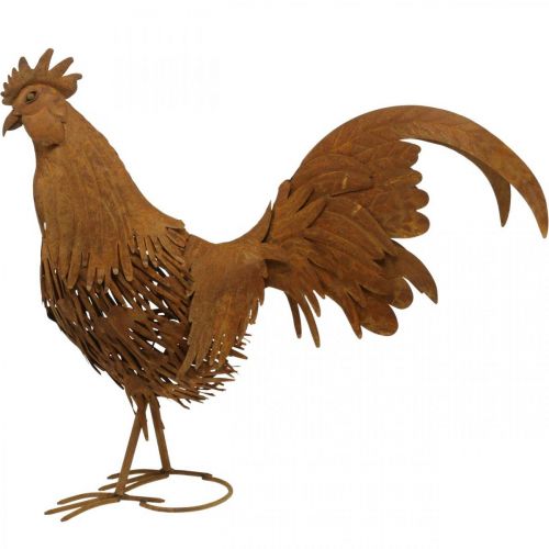 Floristik24 Gallo oxidado decoracion jardin patina decoracion figura metal 58×13×50cm