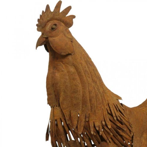 Floristik24 Gallo oxidado decoracion jardin patina decoracion figura metal 58×13×50cm
