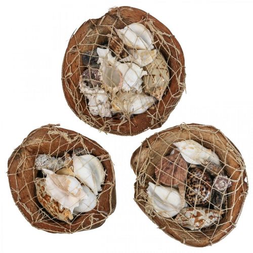 Artículo Decoración de media cáscara de coco conchas decoración de conchas de caracol 18–19cm 3 piezas