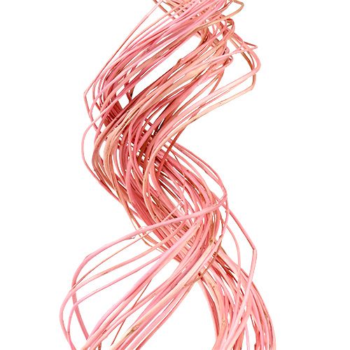 Floristik24 Sauce Medio Rizado 100cm Rosa 30uds