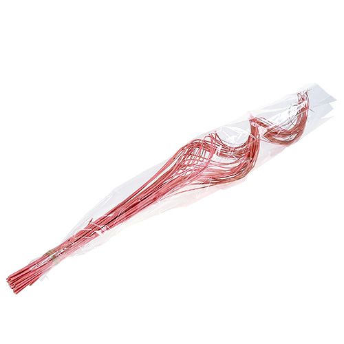 Floristik24 Sauce Medio Rizado 100cm Rosa 30uds