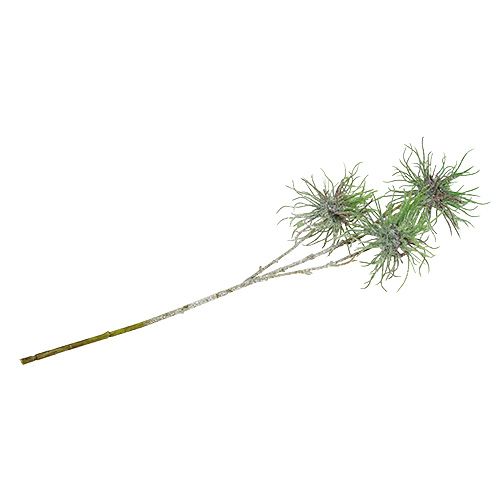 Floristik24 Rama de hamamelis 44cm verde, plata 1p