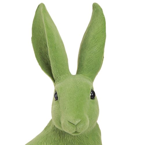 Floristik24 Conejito Verde Sentado Decoración De Conejito De Pascua Flocado 16×13×35cm