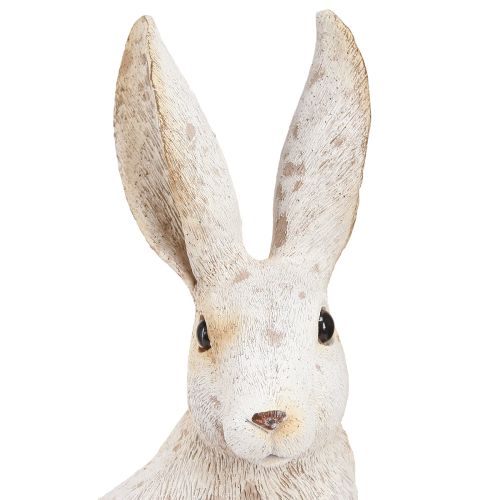 Floristik24 Conejito Sentado Conejito De Pascua Decoración De Pascua Shabby Chic 16×13×35cm
