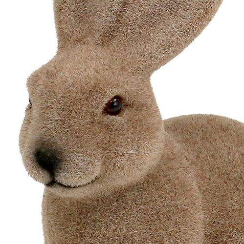 Floristik24 Conejo flocado marrón 15.5cm 4pcs