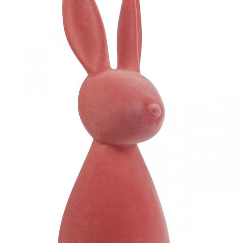 Floristik24 Conejo de Pascua decorativo (2.ª opción) - Naranja albaricoque flocado (alto 69 cm)