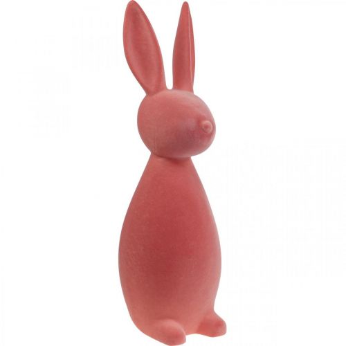 Floristik24 Conejo de Pascua decorativo (2.ª opción) - Naranja albaricoque flocado (alto 69 cm)