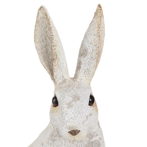 Floristik24 Figura decorativa de conejito sentado Conejito de Pascua Shabby Chic 12×9×25cm