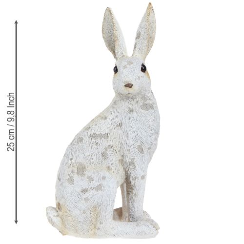 Floristik24 Figura decorativa de conejito sentado Conejito de Pascua Shabby Chic 12×9×25cm