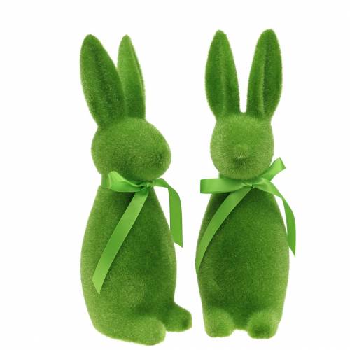 Floristik24 Conejito flocado verde 30cm 2uds