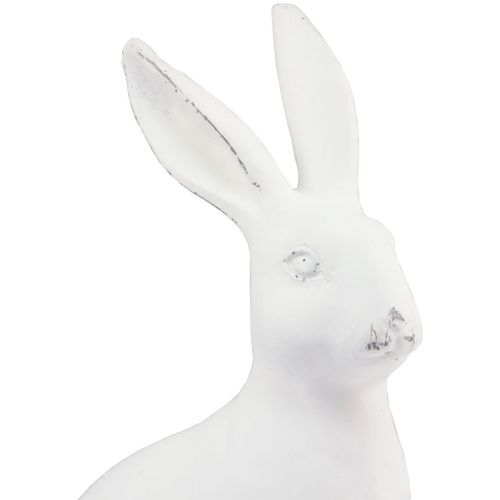 Floristik24 Conejo sentado conejo decorativo decoración de piedra artificial blanco Al. 27 cm
