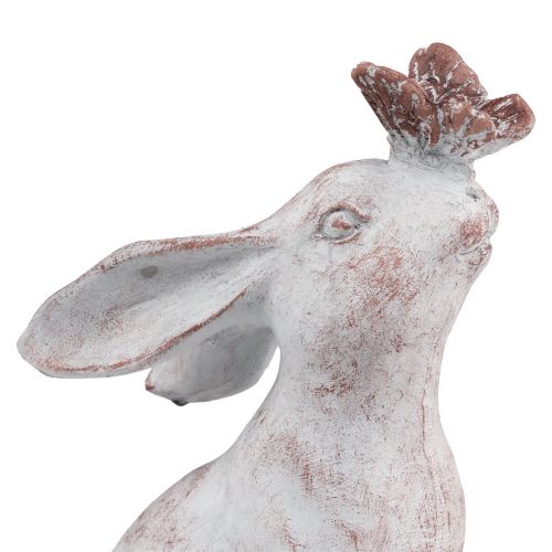 Floristik24 Conejo sentado piedra artificial decoración mariposa 14×10,5×26cm
