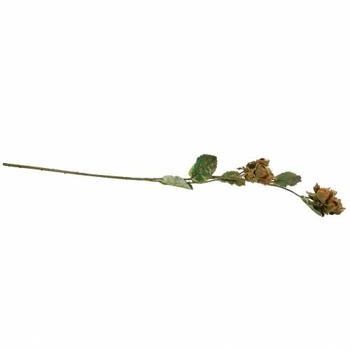 Floristik24 Rama de avellana verde / marrón 84cm