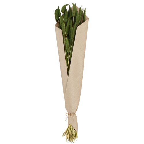 Artículo Hierba Cola De Liebre Lagurus Seca Verde 50-60cm 50g