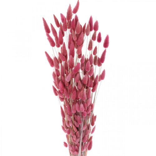 Floristik24 Hierba Cola de Conejo Lagurus Rosa Viejo Seca 60cm 50g