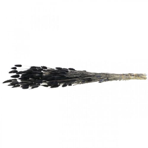 Artículo Hierba de cola de liebre Lagurus seca negra 60 cm 50 g