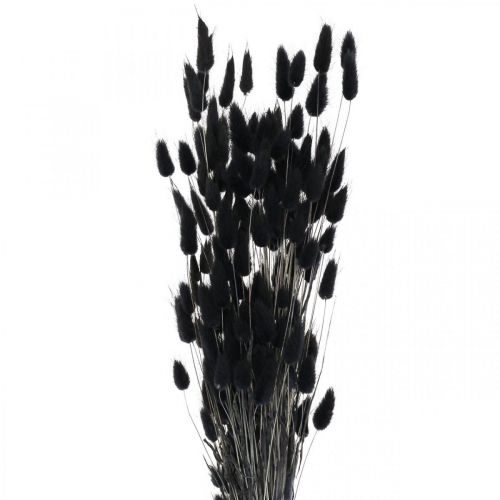 Artículo Hierba de cola de liebre Lagurus seca negra 60 cm 50 g