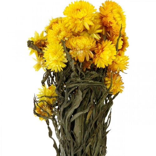 Floristik24 Manojo decorativo de flores secas secas amarillas de paja 75g