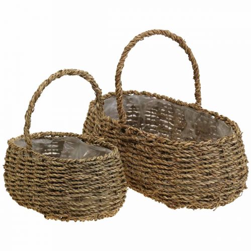 Floristik24 Cesta para plantas con asa, cesta para flores, L23/35cm, juego de 2