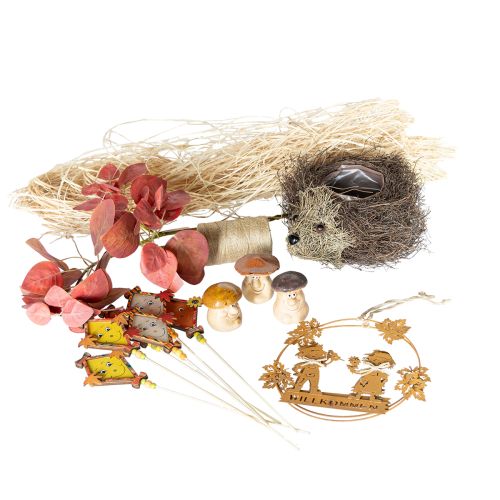 Floristik24 Set de decoración otoñal: erizo, setas y dragón. Comprar caja decorativa a buen precio.
