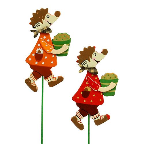 Floristik24 Enchufe de otoño erizo con pastel 12pcs