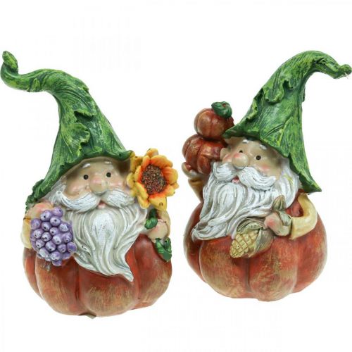 Artículo Gnomo otoño decoración calabaza figura gnomo surtido H11.5cm 2pcs