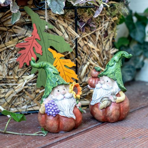 Floristik24 Gnomo otoño decoración calabaza figura gnomo surtido H11.5cm 2pcs