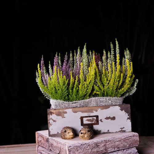 Floristik24 Jardinera cajón de madera gris antiguo 27cm x 13cm