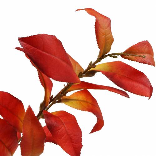 Floristik24 Rama de otoño 72cm