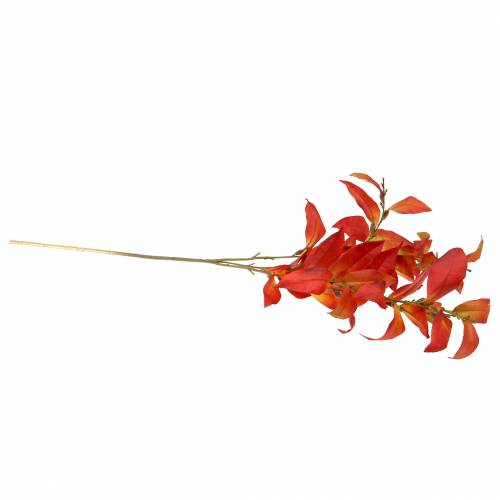 Floristik24 Rama de otoño 72cm