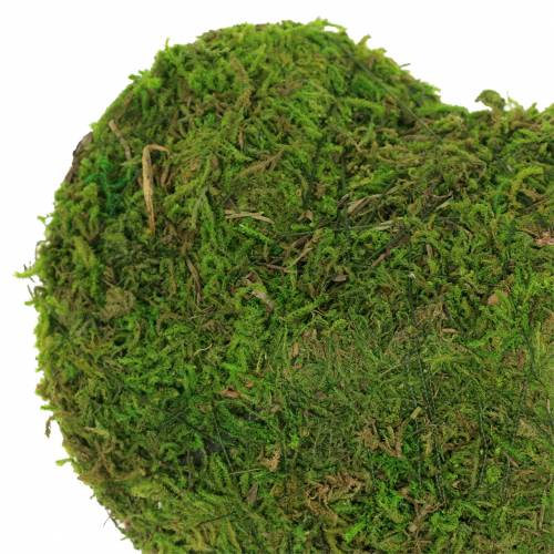 Floristik24 Musgo corazón verde 20cm 3pcs